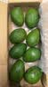山姆大叔 金奖·哈斯牛油果【闪送】智利鳄梨非即食新鲜牛油果水果礼盒装 【金奖级】超级巨无霸丨约180-220g 8枚【热销* 超值推荐】普装 实拍图