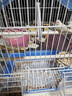 喜帅鹦鹉鸟笼套A112鹦鹉笼子虎皮牡丹观赏笼玄凤文鸟养殖鸟笼颜色随机 实拍图