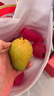 京觅福建红心芭乐 番石榴 应季 低糖孕妇水果 单果150g 净重3斤装 实拍图