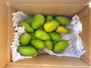 【26年爆款】海南小台芒纯甜芒果源头直发 带箱五斤装70-90g 实拍图