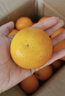 京鲜生 冰糖橙/橙子 9斤装 单果100-130g  生鲜水果礼盒   实拍图