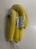 黄胖子进口香蕉650g 实拍图