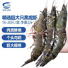 GUO LIAN国联 黑虎虾超大规格斑节虾无冰净重2斤 16-20只高虾青素年货送礼 实拍图