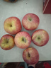 京喜加正宗红富士丑苹果脆爽多汁应季红富士苹果新鲜苹果多仓混发 整箱2斤A+级中果【果径70-75】 实拍图