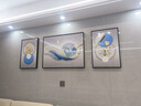 诗六艺家饰客厅装饰画北欧现代简约沙发背景墙挂画三联画大气轻奢壁画晶瓷画 前程似锦（铝合金外框） 晶瓷画左右40*60+中间80*60亮面 实拍图