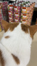 K9 Natural三种口味猫主食罐头170g*12成猫幼猫猫湿粮猫罐头新西兰原装进口 实拍图