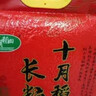 十月稻田 2025年新米 五常香米 五常大米 10斤（东北大米 5公斤/十斤） 实拍图