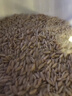 硃碌科 有机燕麦米麦仁米3斤装 富含蛋白杂粮米粗粮早餐粥米伴侣年货节 实拍图