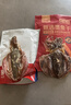 北海印象北海特产墨鱼干M3 500g淡晒干墨鱼煲汤滋补干货 年货春节送礼礼品 实拍图