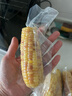 京鲜生云南香糯小玉米4斤 西双版纳小花糯 黏玉米低脂健身源头直发 实拍图