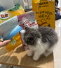 皇家幼猫猫粮 幼猫奶糕 K36 通用粮 4-12月 2KG 实拍图