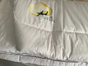 京东京造阿金朵100%天然新疆棉花被 纯棉被芯双人被子春秋被5斤2x2.3m 实拍图
