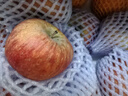 佳农新疆阿克苏冰糖心苹果8斤 果径75-80mm 25年新果 水果礼盒 实拍图