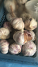 紫白皮蒜水果大蒜超市即食生鲜蔬菜大蒜 【优选】带箱 1斤 单果3.5-5cm 实拍图