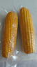 【东东农场专供】正宗头茬东北新鲜糯玉米软糯拉丝真空包装早餐 黄糯玉米2支*150g+ 实拍图