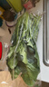 大菠菜300g 实拍图