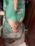 凯锐思成猫专用猫粮国产猫粮高蛋白成年鱼肉牛肉味4斤 实拍图