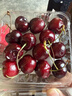 京喜加【推荐品】智利进口车厘子爆甜多汁大樱桃生鲜水果礼盒包装随机 100克(净重) 尝鲜装-非礼盒 大果 J 单果26-28mm 实拍图