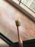 狮王（Lion）细齿洁儿童牙刷2岁以上*3儿童超细软毛牙刷 呵护乳牙新老包装随机 实拍图