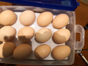 京鲜生可生食标准鲜鸡蛋30枚礼盒装3斤 源头直发 实拍图