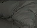 SIDANDA羽绒被95白鹅绒可水洗A类面料鹅绒填充266g 夏被200*230cm 实拍图