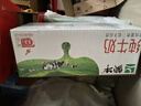 蒙牛全脂纯牛奶200ml*24盒 家庭年货囤货 电商定制 实拍图