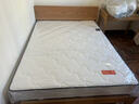 喜临门城市爱情极光白2S 椰棕床垫 邦尼尔弹簧床垫 1.5x2米 偏硬 实拍图