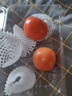 童年味道西红柿约1kg 实拍图