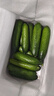 京鲜生 山东荷兰水果黄瓜 净4.5斤 单果70g+ 健康轻食早餐蔬菜 源头直发 实拍图
