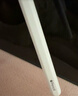 Apple/苹果 Pencil(USB-C) 磁吸触控笔手写笔苹果笔电容笔ipad笔 适用iPad 11/mini/Pro/Air 实拍图