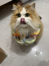 自然光环Halo【成猫健美】美国进口猫粮无谷主粮大袋宠物成年减肥干粮蓝猫 健美体态鱼肉味6磅（效期27.2起） 下单抽奖·满赠好礼~详情请入会 实拍图