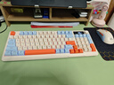 自由狼M96 蓝牙无线双模键盘鼠标套装机械手感静音游戏男女生MAC手机ipad平板电脑办公通用可充电款键鼠 升级版 键鼠套装-蓝莓+蓝色鼠标【共用一个接收器】 实拍图