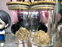 格娜斯密封罐玻璃瓶食品级茶叶咖啡豆粉储存罐陈皮五谷杂粮收纳罐1200ml 实拍图