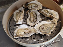 乳山牡蛎 鲜活乳山生蚝5XL 净重5斤 9-10只 生鲜海鲜 年货送礼 源头直发 实拍图