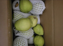 京鲜生 新疆库尔勒香梨 净重8斤 单果120g起 生鲜水果 礼盒装 包装随机 实拍图