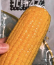 北纬47度水果玉米4斤(约220g*10根) 开袋即食玉米棒真空包装直抽 低脂低GI 实拍图