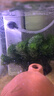 森森 小鲤鱼缸过滤器净水循环三合一内置水族箱过滤系统XQP-500F 6W 实拍图