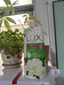 力士（LUX）沐浴露套装 清爽健肤 艾叶山茶香1000g送幽莲350g 香味持久 实拍图