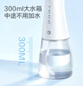 京东京造冲牙器便携式2喷嘴 300ML大水箱洗牙器水牙线洁牙器冲洗器牙齿清洁正畸预防牙结石生日礼物新年礼 实拍图
