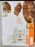 月盛斋 清真羊肉 中华老字号 羊蝎子熟食火锅 香辣羊蝎子1200g 加热即食 实拍图