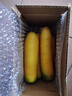 【真便宜】新疆冰糖心金黄胡萝卜水果萝卜新鲜蔬菜手抓饭直播间 黄胡萝卜 含箱2斤 实拍图