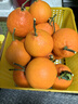 京鲜生 四川爱媛38号果冻橙 净重8斤 单果190g起 生鲜水果橘桔年货 实拍图