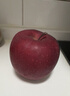 京鲜生 甘肃天水花牛苹果 又大又红 净重10斤 单果200g以上 生鲜水果 实拍图