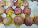 京鲜生山东烟台红富士苹果 5斤装单果75-80mm生鲜水果 源头直发 包邮 实拍图