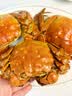 【活蟹】湖中秋色大闸蟹3.0-3.3两8只去绳足重六月黄螃蟹鲜活海鲜生鲜水产礼盒源头直发 实拍图