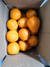 京鲜生 耙耙柑 净重5斤装 单果150g起 生鲜柑橘桔子水果礼盒春节也送货  实拍图