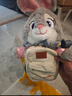 迪士尼（Disney）疯狂动物城朱迪双肩包兔子玩偶包毛绒玩具女孩生日三八节女神礼物 实拍图