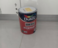 多乐士（Dulux）全能卫士净味强效抗碱防霉封闭乳胶漆A914-65360小桶5L【底漆】 实拍图