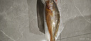 威尔斯（WEIERS）【春节也送货】宁德大黄鱼600g 地标认证黄花鱼 深海鱼生鲜鱼类 实拍图