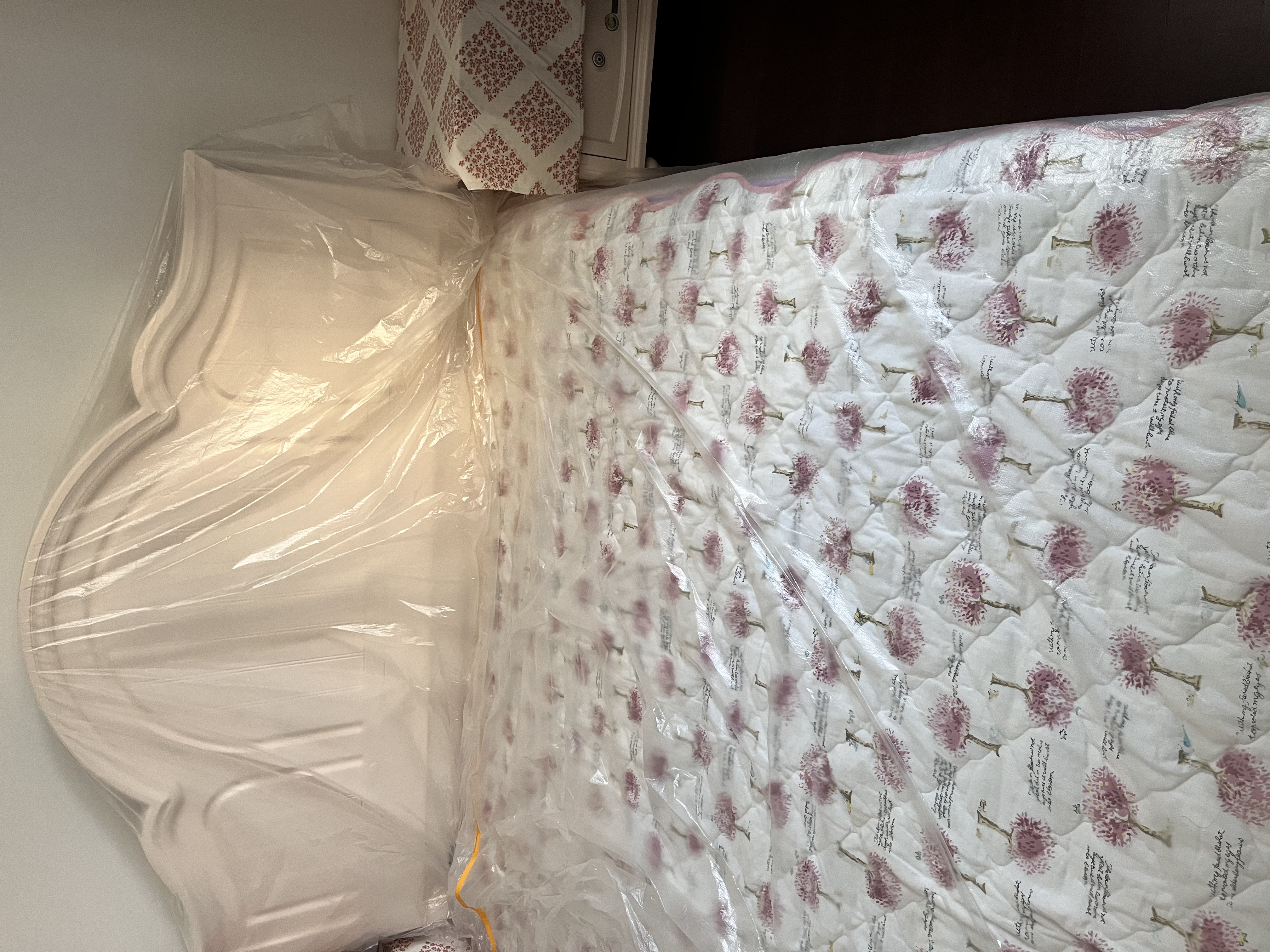 漫德莱防尘布一次性防尘膜塑料膜装修保护膜遮灰布盖布防灰尘4*20m0.8丝 实拍图